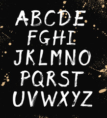 Fototapeta na wymiar Vector Alphabet. Handwritten script font. Ink brush letters. Calligraphic modern design for banner, poster, postcard.