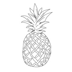 Pineapple illustration on a white background.Black and white color line art