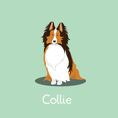 An illustration depicting a cute Collie dog.vector - obrazy, fototapety, plakaty
