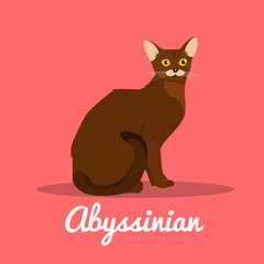 Brown Abyssinian cat illustration on pink background.vector