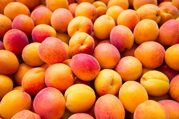 ripe apricots