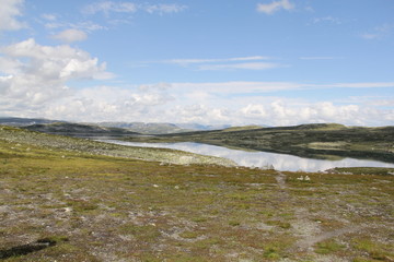 Norvège, nature, paysage, voyage, 