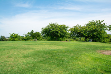 青空と芝生の公園