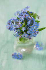 forget-me-not flower