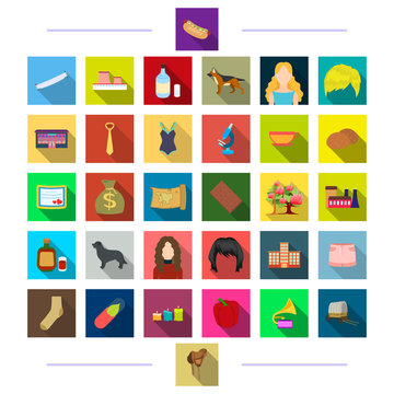 cooking, hairdresser, textiles and other web icon in flat style.animal, bank, business icons in set collection.