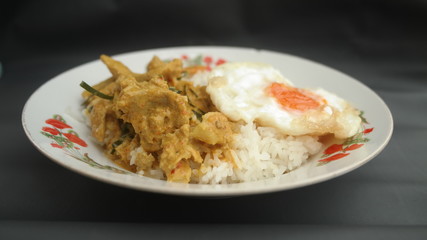 Curry Rice Chicken Pork Fish Egg