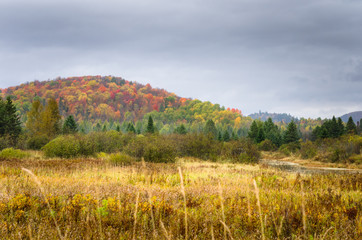 Fototapeta premium Autumnal Mountain Landscape on a Foggy Day, Adirondacks, NY.