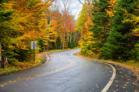 Wet Winding Mountain Road through a Forest in Autumn. Fall Foliage in the Adirondacks, NY.