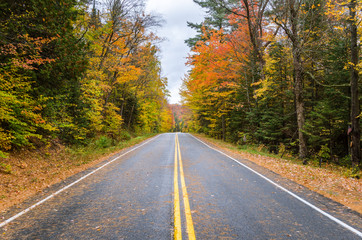 Autumn Colours along a Mountain Road on a Rainy Day
