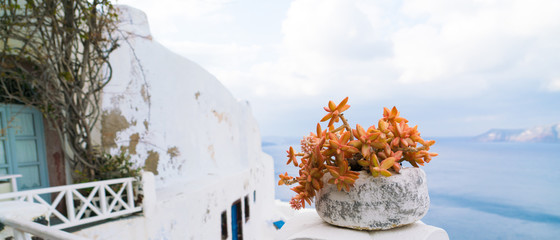 Pot with a cactus on the veranda. Oia Santorini Island