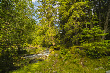 Beautiful scenery with a mountain river in a wild place