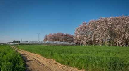 Fototapety na wymiar - Fototapeta24.pl