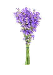 Bouquet of lavender flower isolated on white background 