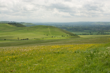 Fototapeta premium Pewsey Hills, Wiltshire, England