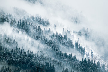 Fototapety  Krajobraz mgły