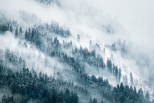 Nebel Landschaft