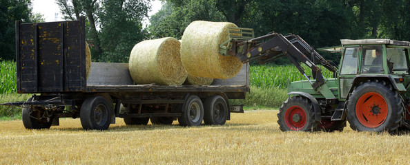 harvesting and loading of rolled hay bales