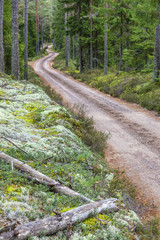 Obraz premium Winding dirt road