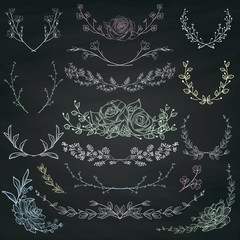 Chalk Drawing Herbs, Plants and Flowers. Vector Illustration