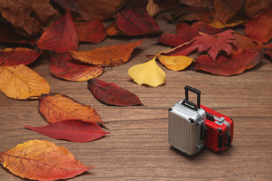 秋イメージ　旅行　落ち葉とスーツケース