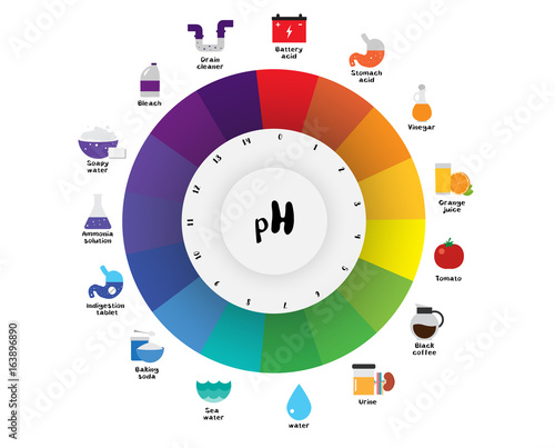 "The pH scale Universal Indicator pH Color Chart diagram" Stock image ...