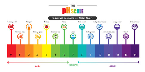 The pH scale Universal Indicator pH Color Chart diagram - obrazy, fototapety, plakaty