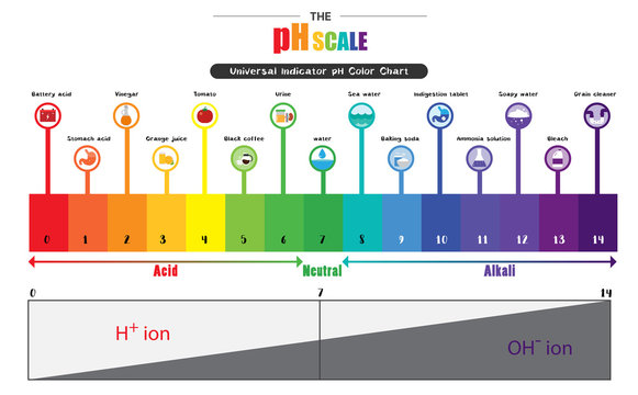 The pH scale Universal Indicator pH Color Chart diagram
