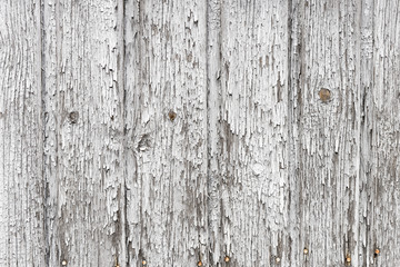 The white wood texture with natural patterns background