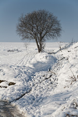 Paisaje en les Masies de Roda, Osona Catalunya