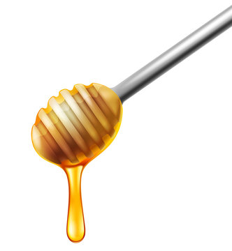 Steel honey dipper. Vector illustration.