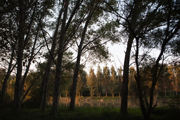 Paisaje en les Masies de Roda, Osona Catalunya