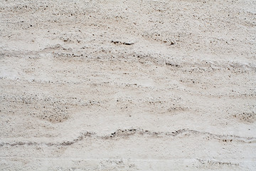 White porous coquina wall. background, texture.