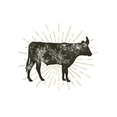 Vintage hand drawn cow icon. Farm animal silhouette shape. Retro black style cow with sunbursts, isolated on white background. Illustration