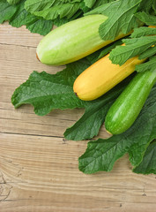 zucchini with leaves