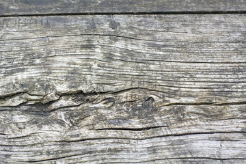 Old wood with cracks as background