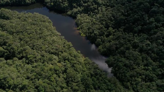 Aerial View of River in Rainforest, Latin America