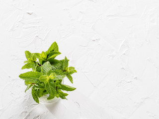 Top view sheaf of fresh mint leaf on white background