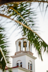 Church clock tower taken through palm branches, Greece, Paralia