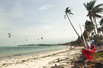 Welcome to the tropical paradise