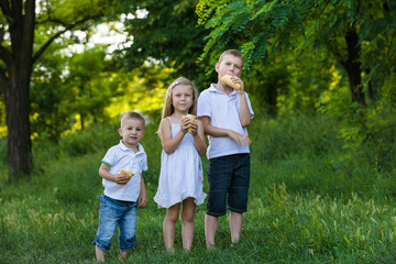 Sister and two brothers in the summer garden with picnic basket