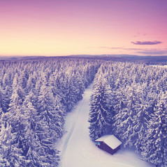 Sonnenuntergang im Winter - zauberhafter Winterwald
