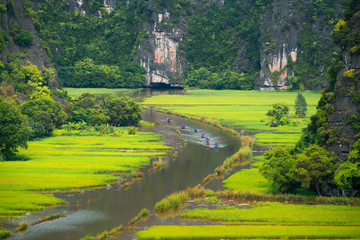 Tourist ride boat for travel sight seeing Rice field on river "Ngo Dong" at TamCoc, Ninhbinh, Vietnam;