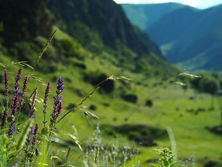 Into the valley