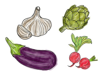 Naklejka premium Types of fresh vegetables