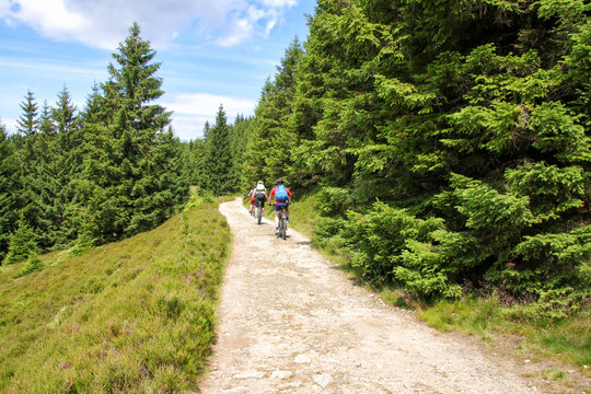 Wandern und Trekking im Nationalpark Harz, Eckerstausee