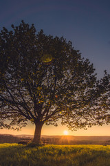 Sonnenuntergang auf der Schwäbischen Alb