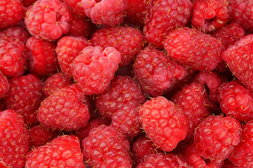 raspberry