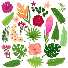 Foto op Plexiglas Vector Set of Vivid Exotic Flowers and Leaves in Watercolor Style © Nebula Cordata