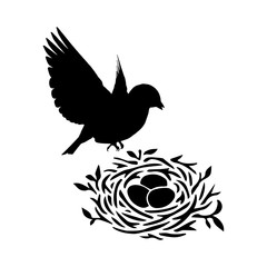 bird on nest with eggs