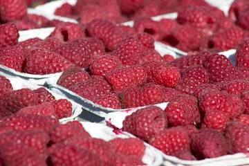 Fresh ripe raspberries